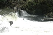 75 Bear Creek Falls